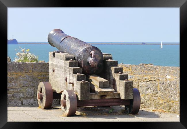 Old Canon on Plymouth Hoe Framed Print by Bryan 4Pics