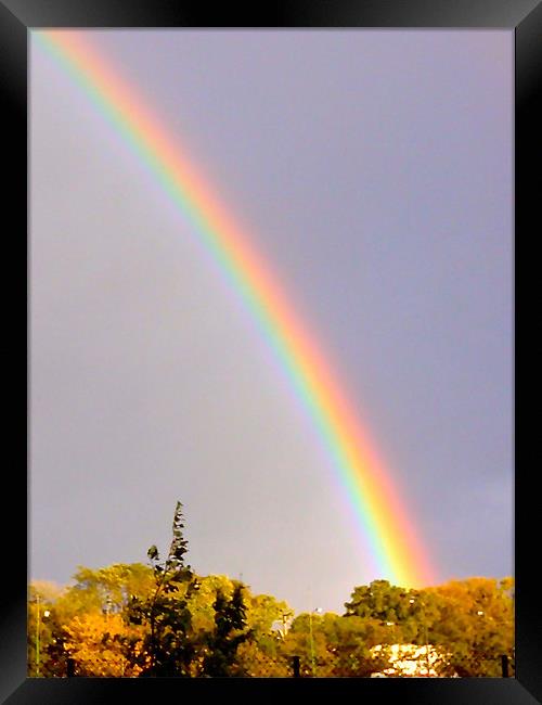 Rainbow Chicago South Spring Framed Print by Tyrone Boozer