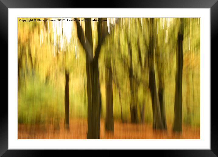 Autumn Woods Framed Mounted Print by Chris Willman