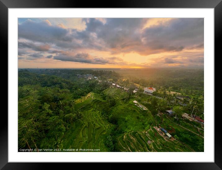 Bali rice terrace sunset Framed Mounted Print by Jan Venter