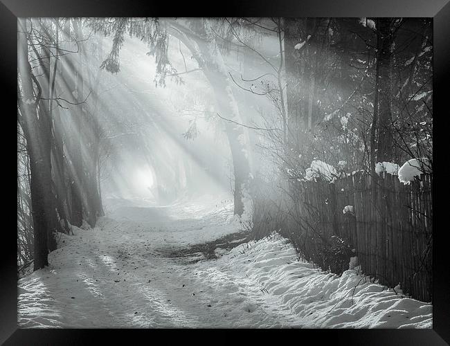 Walk in the mist Framed Print by Jan Venter