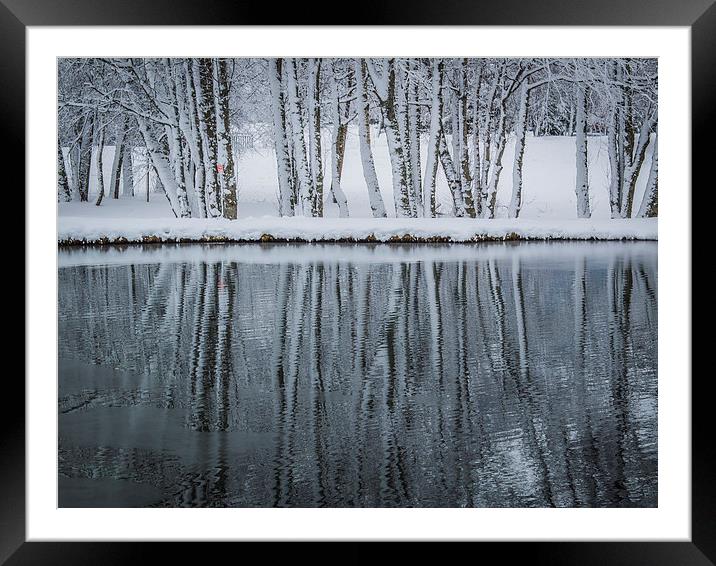 Reflection Framed Mounted Print by Jan Venter