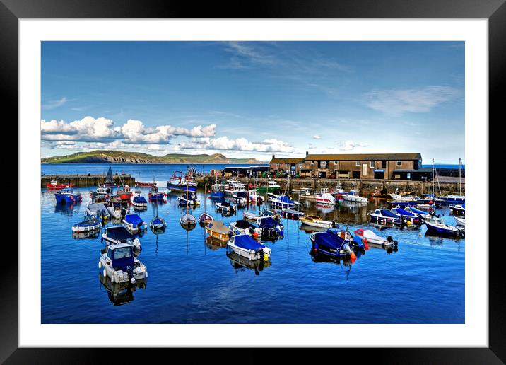 lyme Regis Harbour Dorset Framed Mounted Print by austin APPLEBY