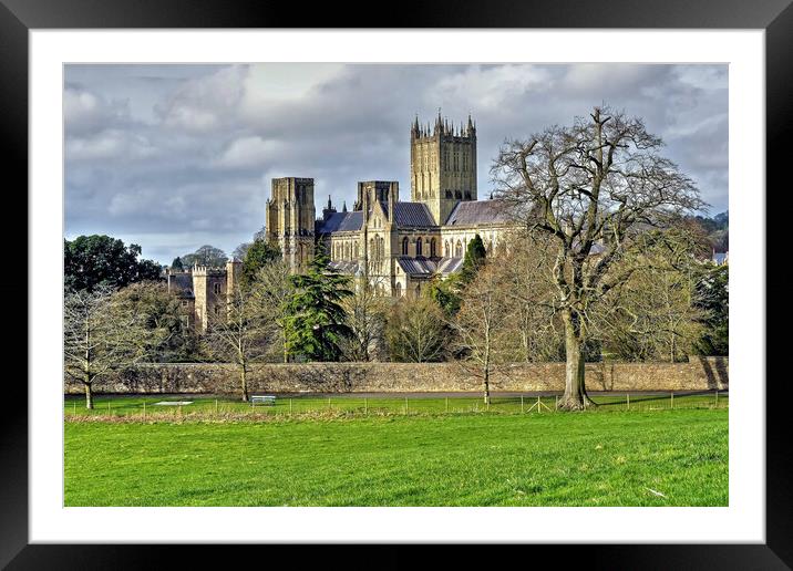 Wells Cathedral Somerset Framed Mounted Print by austin APPLEBY