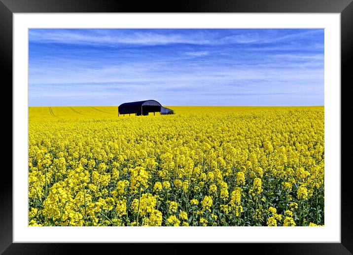 Sixpenny Handley Dutch Barn Dorset Framed Mounted Print by austin APPLEBY