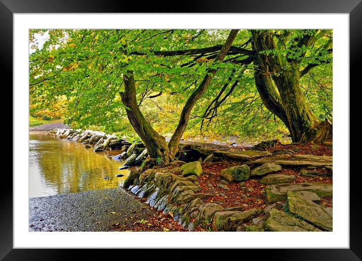 The Tarr Steps Exmoor Somerset Framed Mounted Print by austin APPLEBY