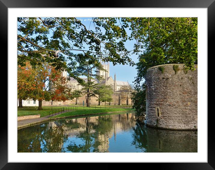 wells cathedral moat and bishopspalace Framed Mounted Print by austin APPLEBY