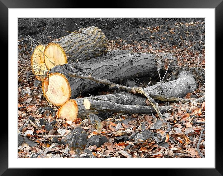 LOGS AND LEAVES Framed Mounted Print by austin APPLEBY