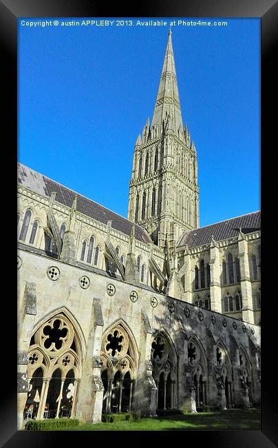 SALISBURY CATHEDRAL SPIRE AND CLOISTER Framed Print by austin APPLEBY