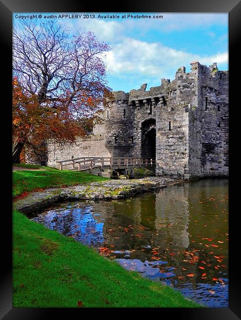FALLING LEAVES AT BEAUMARIS CASTLE Framed Print by austin APPLEBY