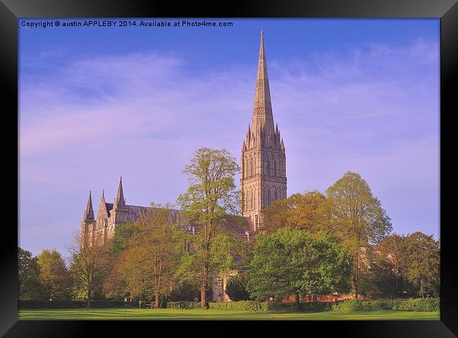 SALISBURY CATHEDRAL SPIRE Framed Print by austin APPLEBY