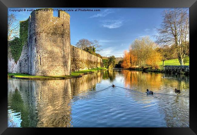 Ducks On The Moat Framed Print by austin APPLEBY