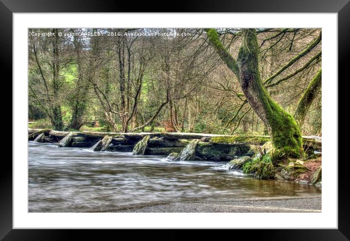 Winter At Tarr Steps Exmoor Framed Mounted Print by austin APPLEBY