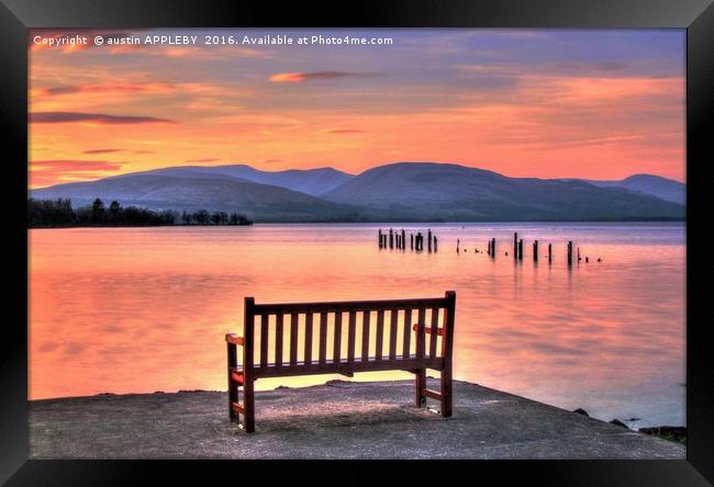 View From The Bench Framed Print by austin APPLEBY