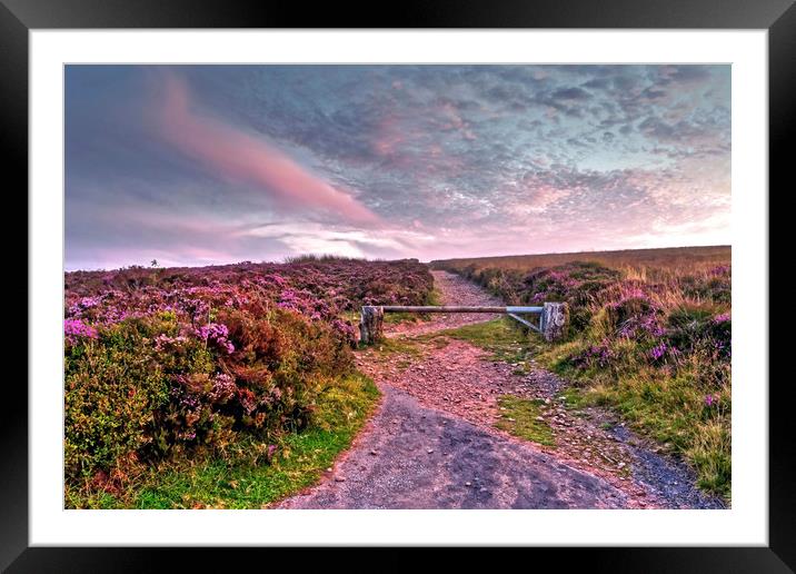 Pathway to Dunkery Beacon Exmoor Framed Mounted Print by austin APPLEBY