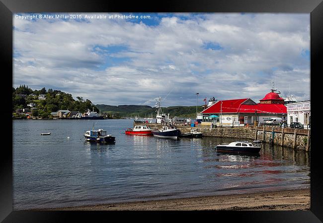  Harbour in Oban Framed Print by Alex Millar