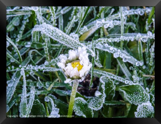 Crystal Ice  Framed Print by Jane Metters