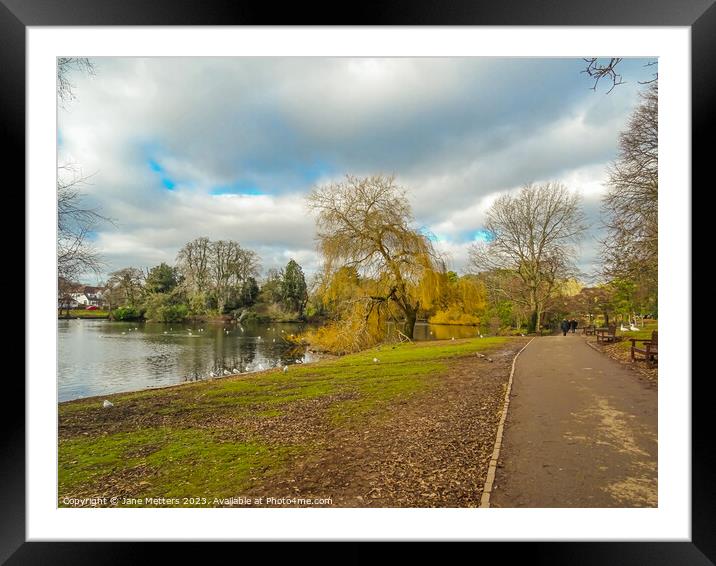 A Stroll around the Lake Framed Mounted Print by Jane Metters