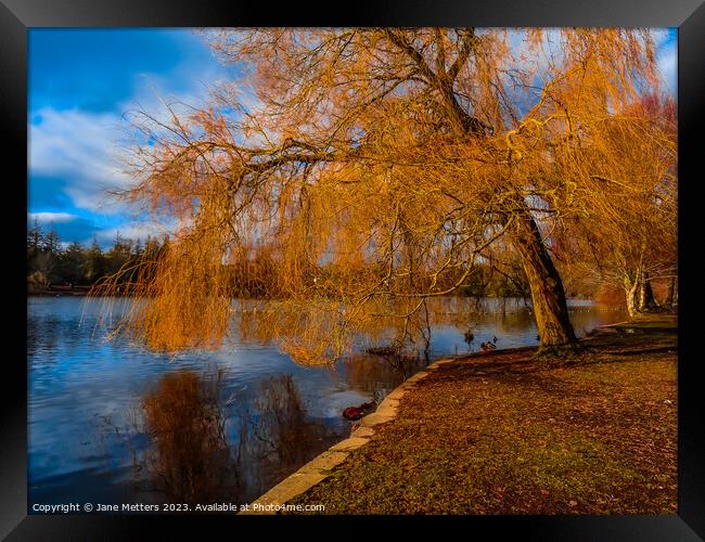 Roath Park Lake Framed Print by Jane Metters