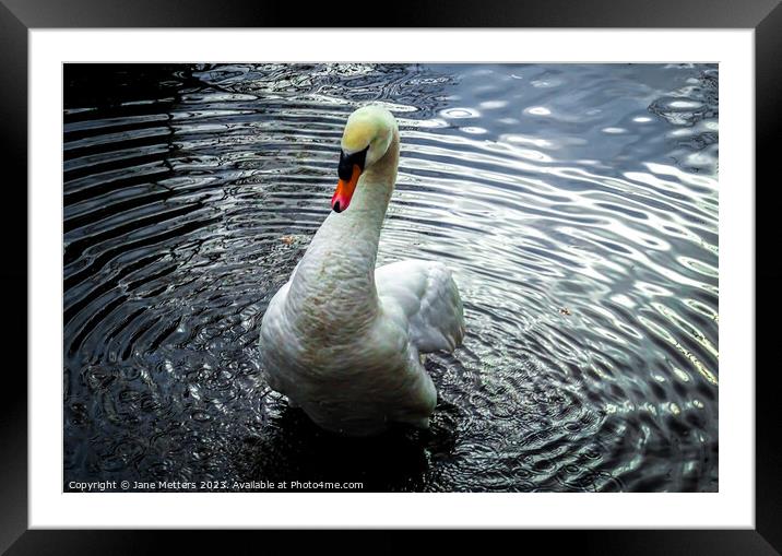 Patterns in the Water Framed Mounted Print by Jane Metters