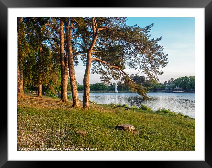 On the Edge of the Lake  Framed Mounted Print by Jane Metters