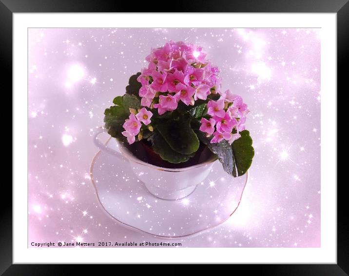 Sparkling Flowers Framed Mounted Print by Jane Metters