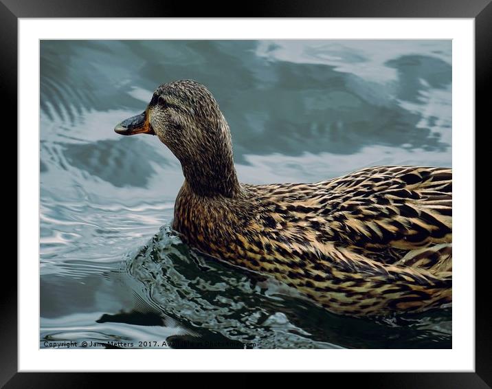 Gliding through the Water Framed Mounted Print by Jane Metters