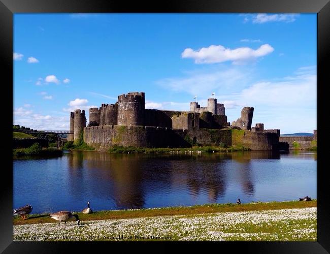 A View of Caerphilly Castle  Framed Print by Jane Metters
