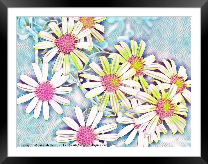 Daisies in Pastel Shades Framed Mounted Print by Jane Metters