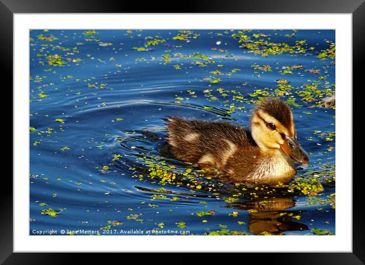      Ripples in the Water                         Framed Mounted Print by Jane Metters