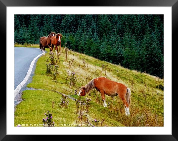 Horses on the Brecon Beacons Framed Mounted Print by Jane Metters