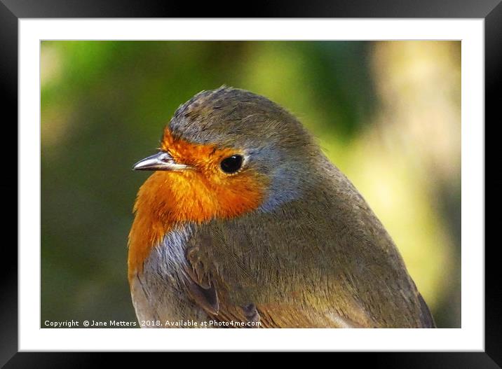 Close Encounters Framed Mounted Print by Jane Metters