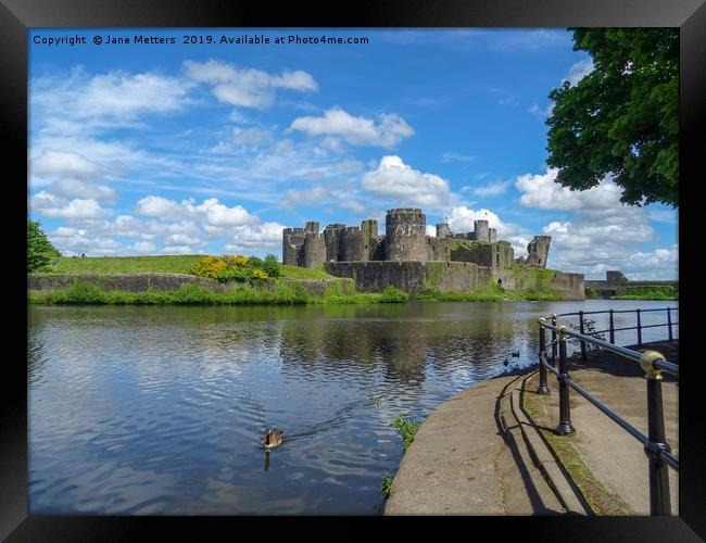 Wildlife on the Moat Framed Print by Jane Metters