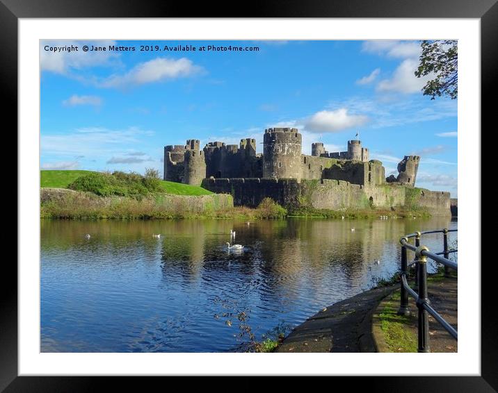 Caerphilly Castle Wildlife Framed Mounted Print by Jane Metters