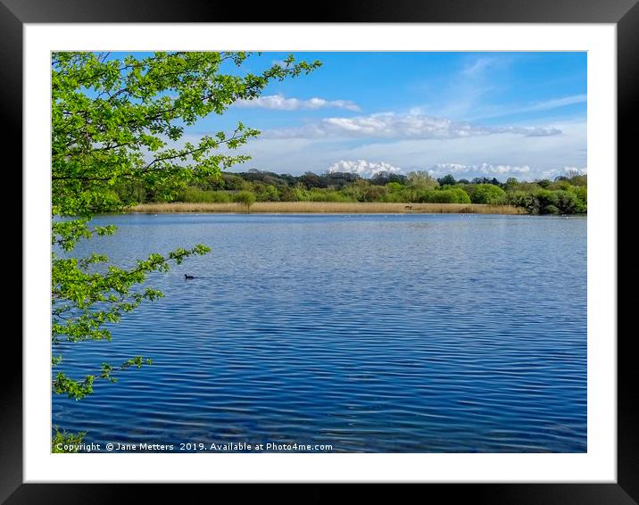 Ripples on the Lake Framed Mounted Print by Jane Metters