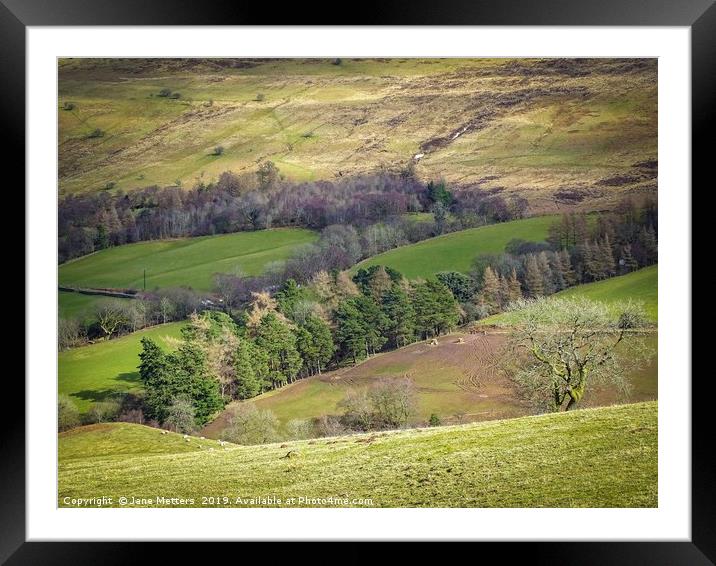 Colours and Contrast Framed Mounted Print by Jane Metters