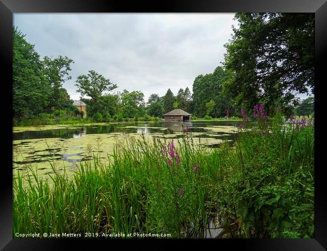 Lake in the Park Framed Print by Jane Metters