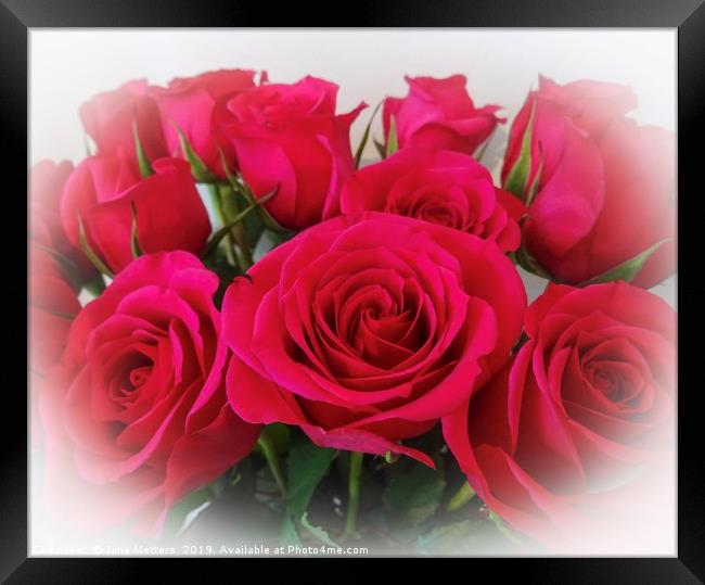Red Roses  Framed Print by Jane Metters