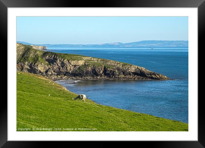 Welsh Coast Framed Mounted Print by Jane Metters