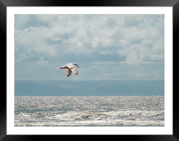 Flying over the Sea Framed Mounted Print by Jane Metters