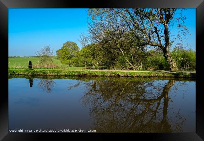 Reflections Framed Print by Jane Metters