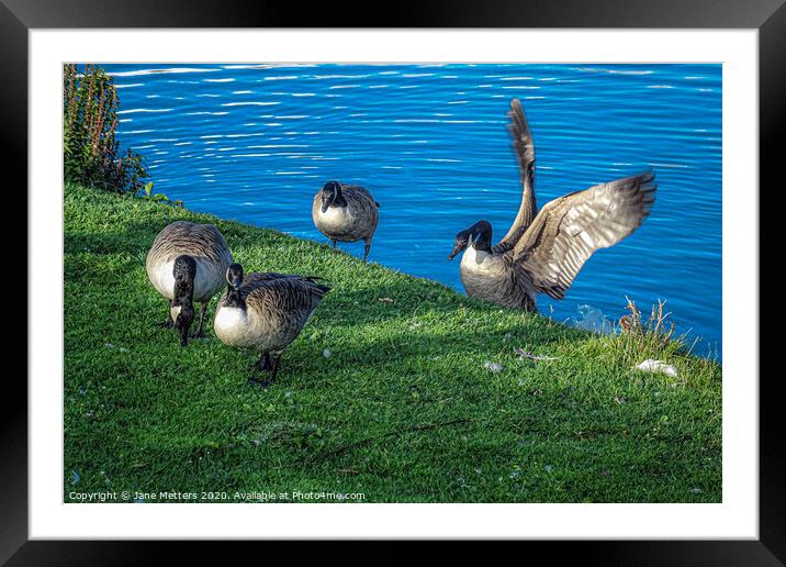 Coming out of the Moat Framed Mounted Print by Jane Metters