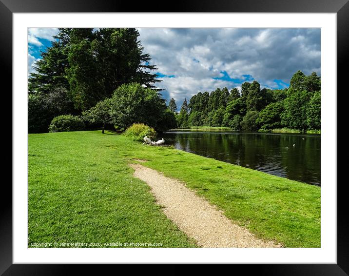 Tredegar Park  Framed Mounted Print by Jane Metters