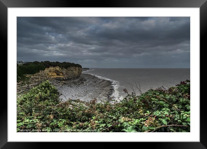 A Gloomy Day Framed Mounted Print by Jane Metters