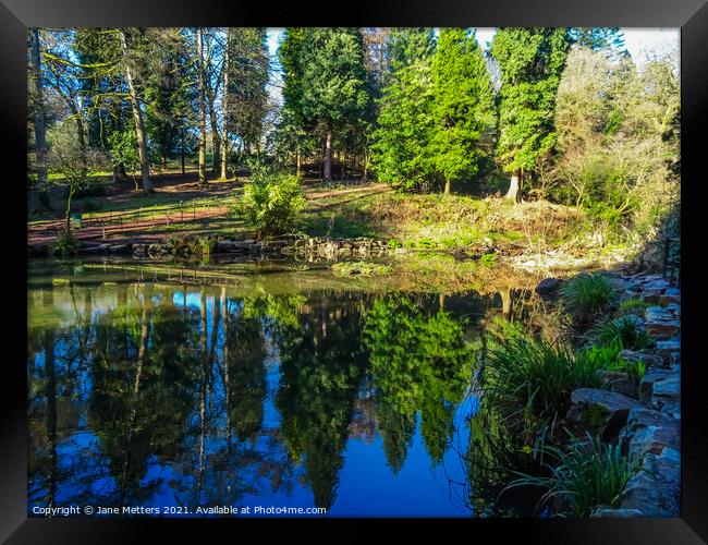Reflections in the Pond Framed Print by Jane Metters