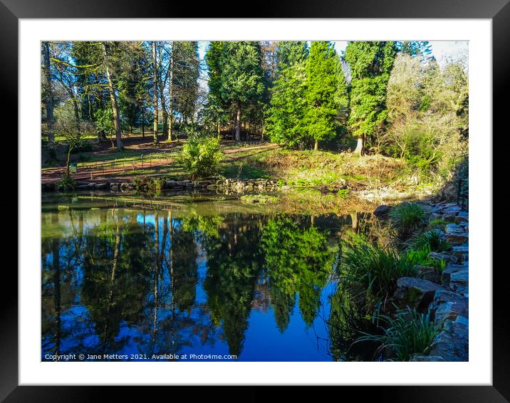 Reflections in the Pond Framed Mounted Print by Jane Metters