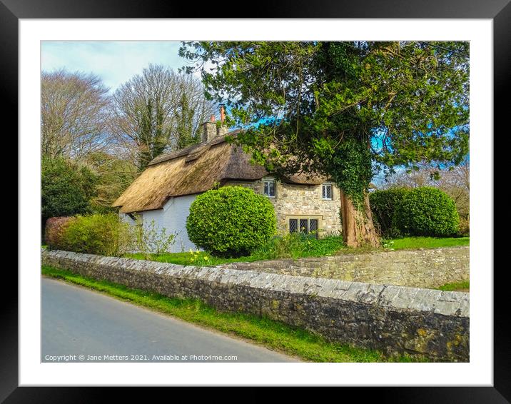 Cottage Life Framed Mounted Print by Jane Metters