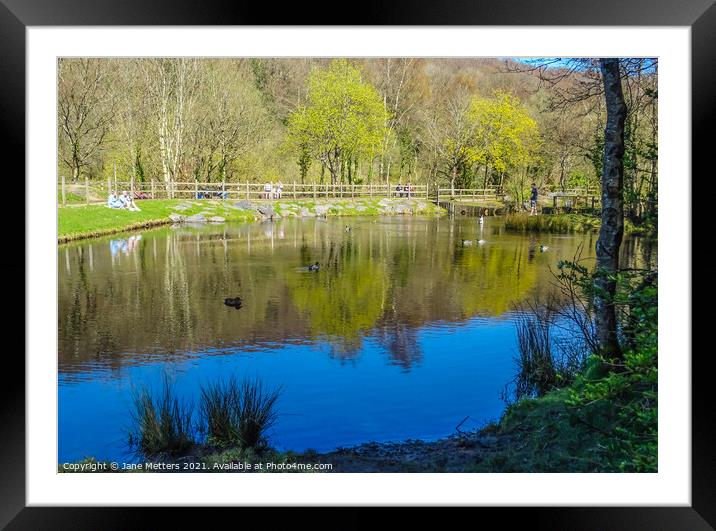 Barry Sidings Pond Framed Mounted Print by Jane Metters