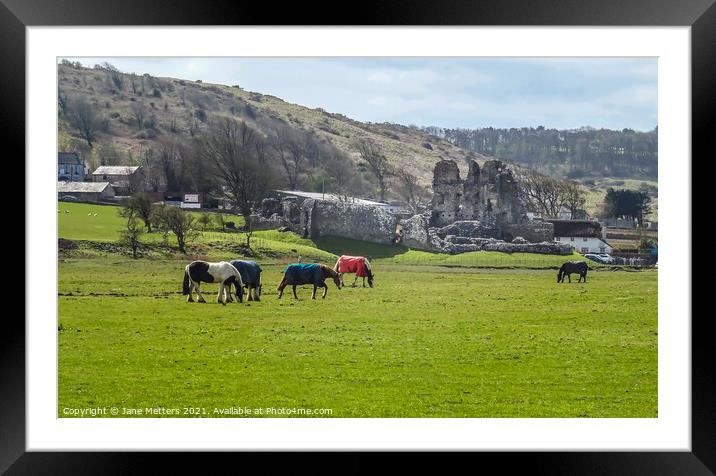 Looking towards Ogmore Castle Framed Mounted Print by Jane Metters