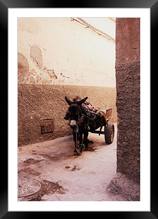 A Donkey in the Shade in Morocco Framed Mounted Print by Megan Winder